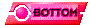 00xh202e.gif