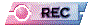 00y12015.gif