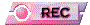 00y12021.gif
