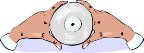 000803_1067_8443_vuvv.wmf