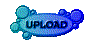00zp2010.gif