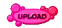00zp201y.gif