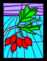 000803_1067_3393_vuvv.wmf