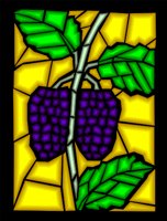000803_1067_3427_vuvv.wmf