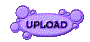 00zp202y.gif