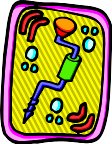 000803_1067_1477_vuvv.wmf