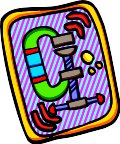 000803_1067_1483_vuvv.wmf