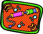 000803_1067_1490_vuvv.wmf