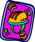 000803_1067_1503_vuvv.wmf