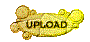00zp201r.gif
