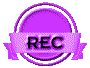 010t2004.gif