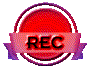 010t2028.gif