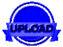 0113202p.gif