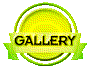 010i202d.gif