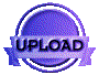 01132013.gif