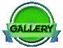 010i202g.gif