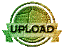0113201p.gif