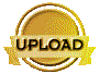 01132027.gif