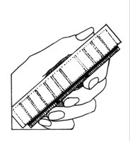 637681.jpg