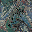 paper.bmp