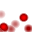 mitosis.bmp