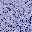 threads1.bmp