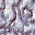 putty3.bmp