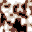 patches3.bmp