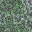 swirl5.bmp