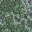 swirl4.bmp