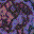 swirl1.bmp