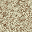 speckle4.bmp
