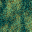 speckle3.bmp