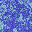speckle2.bmp