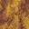 speckle1.bmp