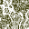 fractal1.bmp