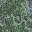 eroded2.bmp