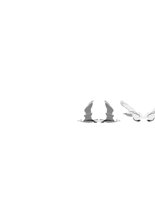 gulls.cdr