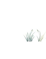grass.cdr