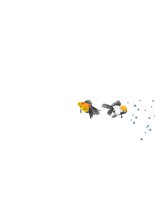goldfish.cdr