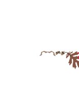 fall leaves.cdr