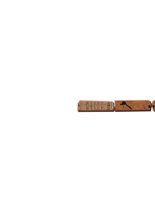 bricks.cdr