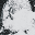 011 Carboncillo.bmp