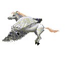 pegasus.gif