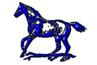 horse.gif