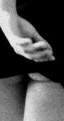 drew.gif