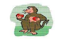 MONKEY.BMP