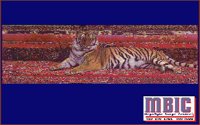 MBTIGER.BMP