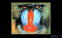 MANDRIL2.BMP