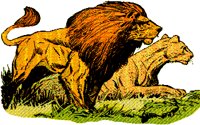 LION1.BMP